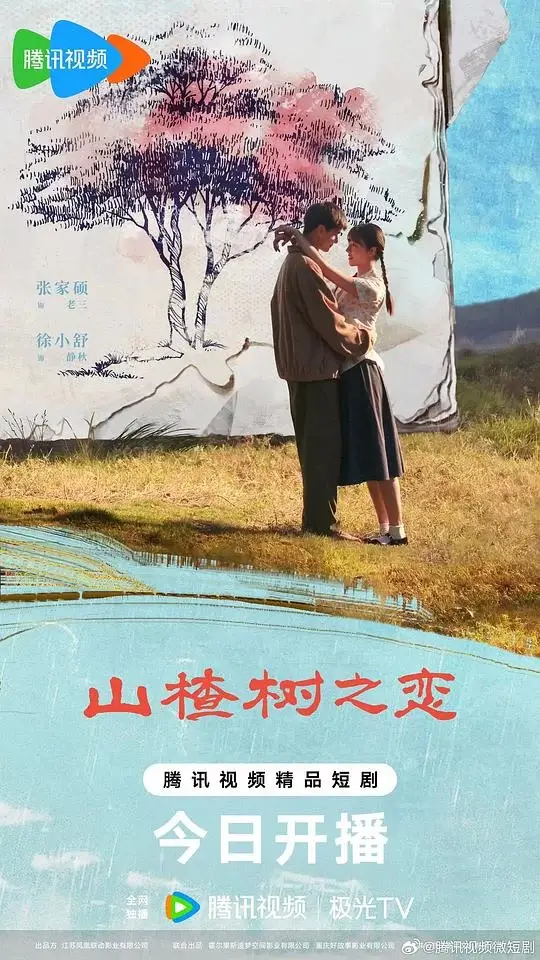 山楂树之恋 (2025)