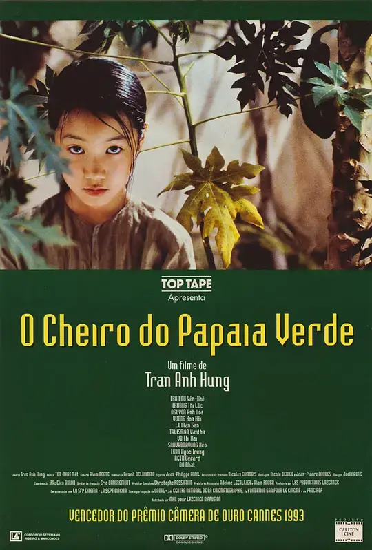 青木瓜之味 (1993)插图 青木瓜之味 (1993)插图